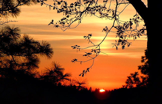 Sunset and Silhouettes