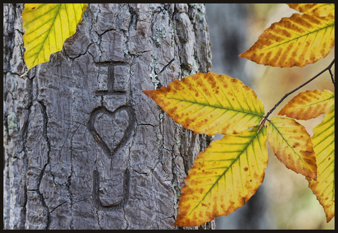I love you.
