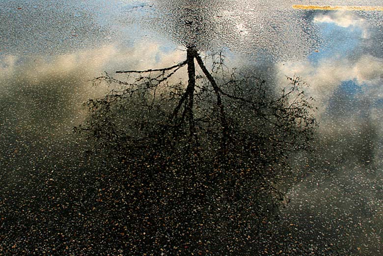 4th Place - Puddle! - By Penny Street