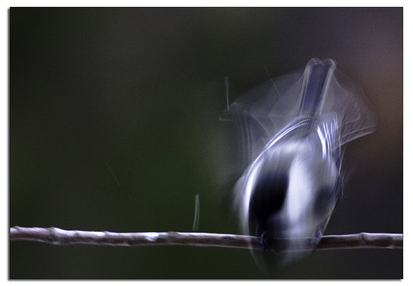 4th - Time to fly! by Sam Attal