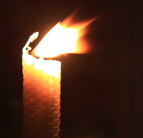 Candela
