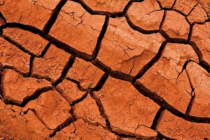 Dry season