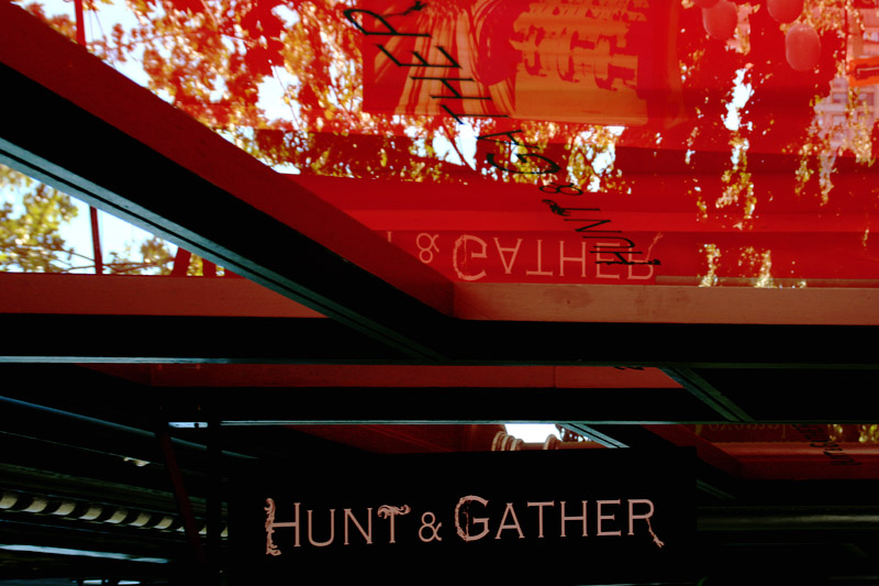 Hunt and Gather
