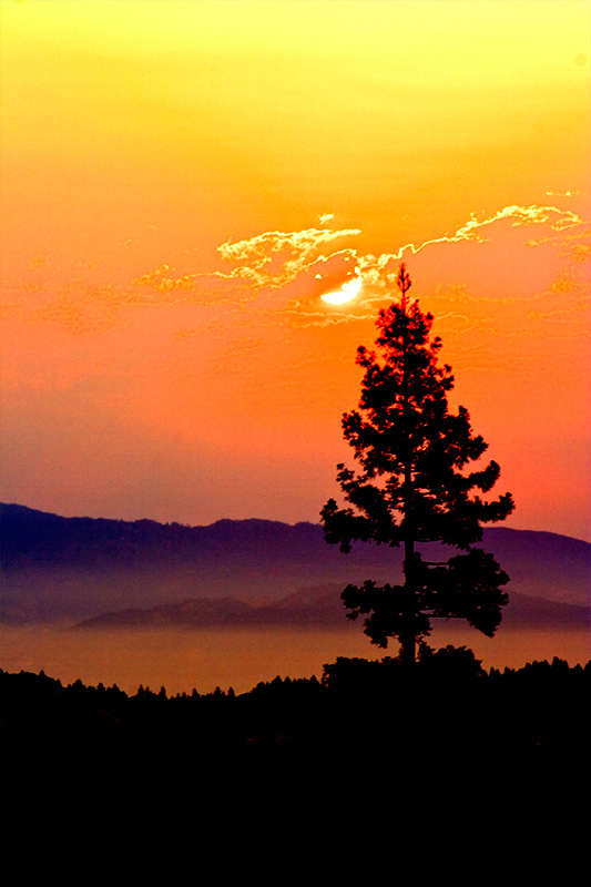 Healdsburg Sunrise