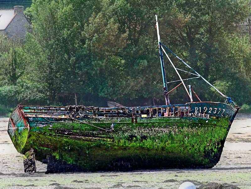 Mossy Boat