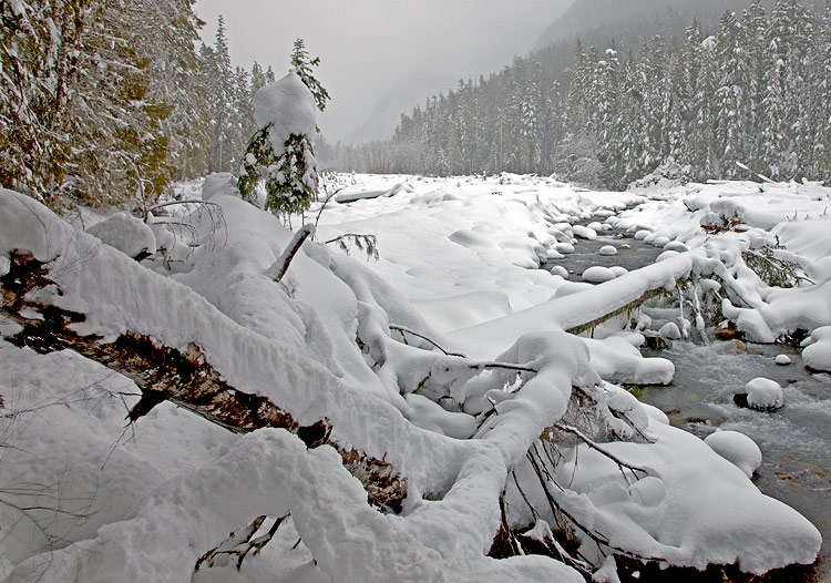12th place <br>Winter Creek <br>by Brent