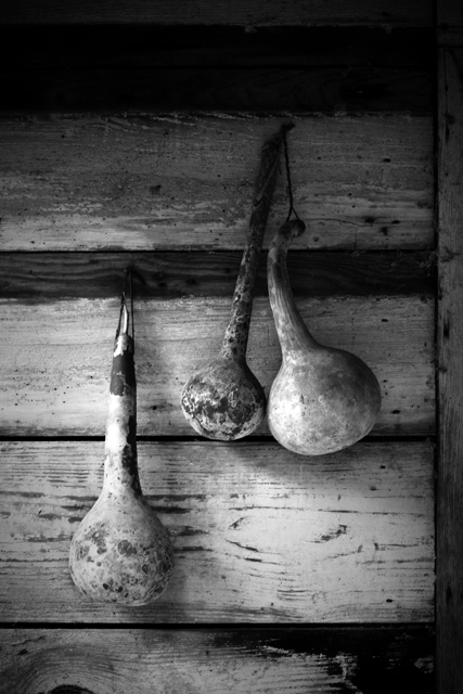 gourd gourd gourd