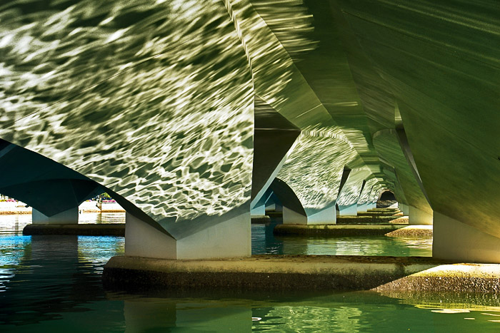 6th Place (tie) <br>(Not in) Water Reflections<br> by kyagudin