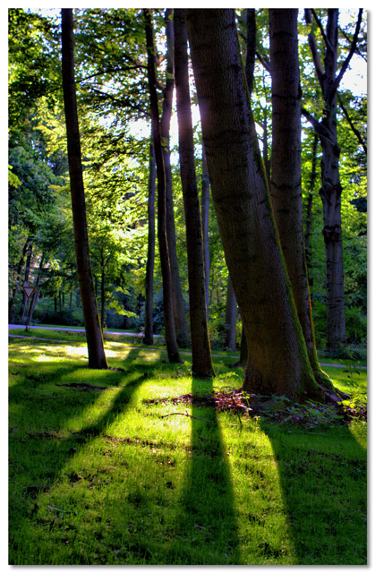 A Tale of Two Gardens 2
