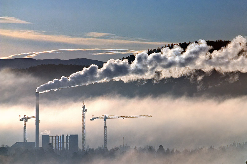 <b>9th Place</b><br><i>Foggy morning *</i><br>by alexeig