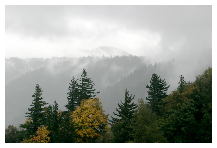 Misty Mountain Hop (*)