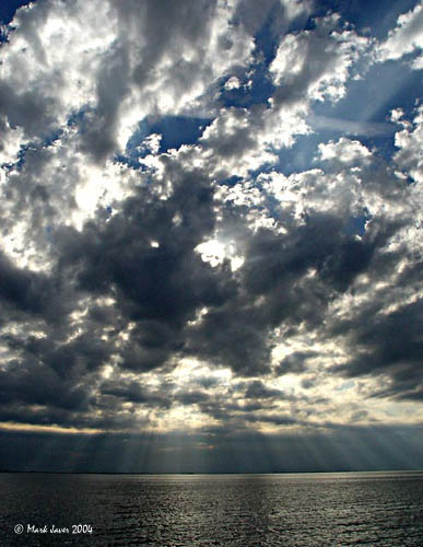 Sun Rays
