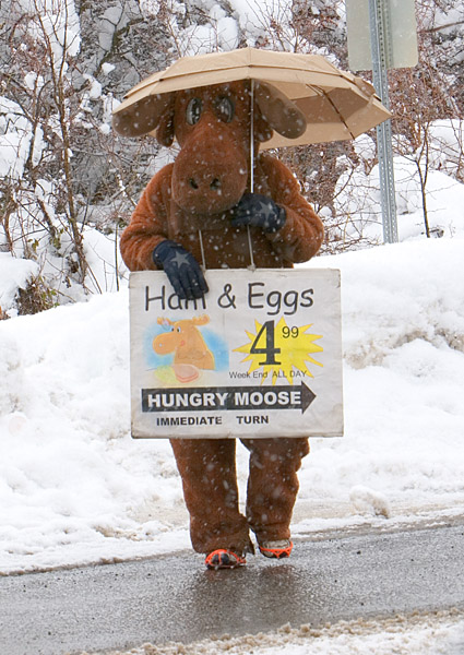The Hungry Moose+