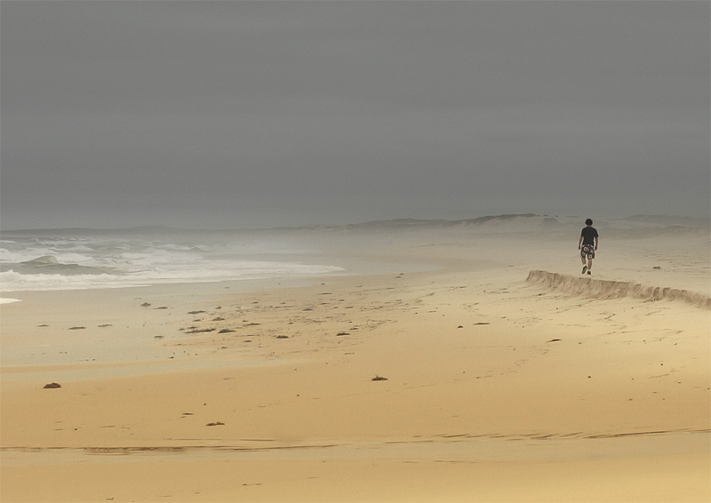 <b>On the Beach</b>
