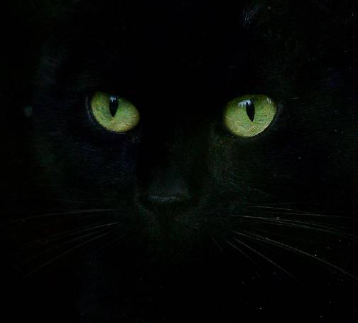 Eyes