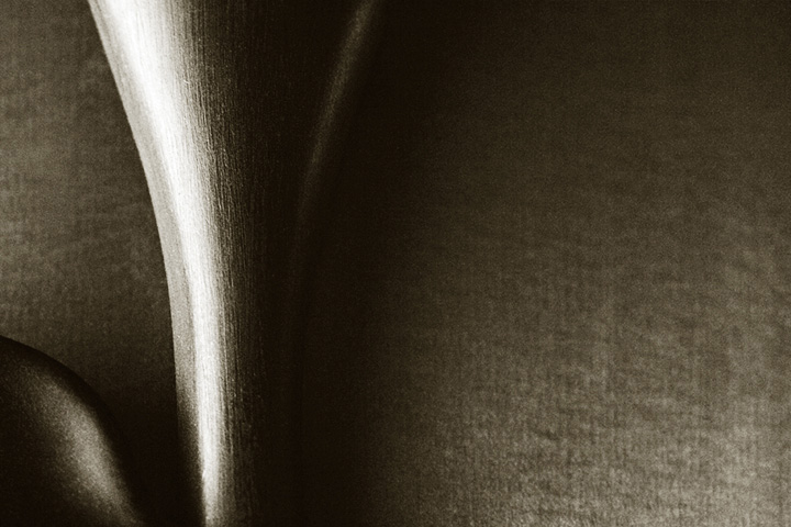 Tailpiece
