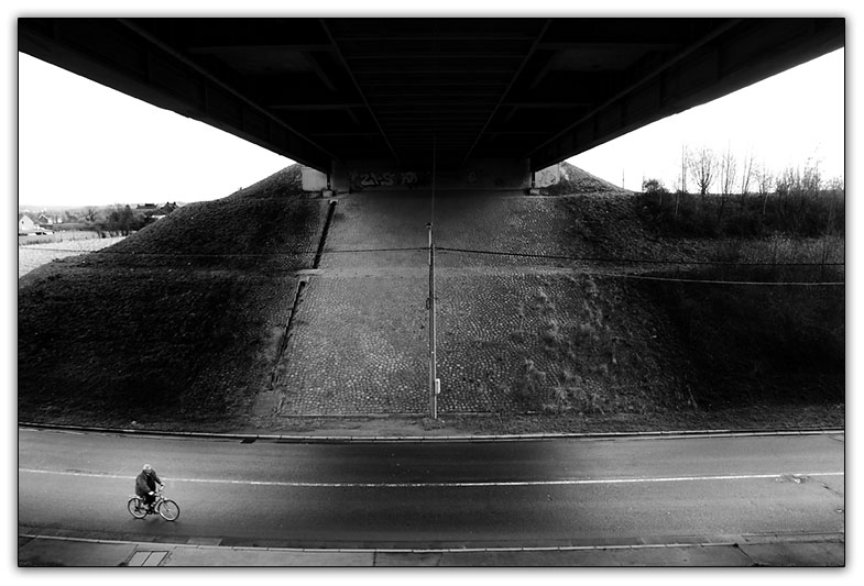 11th Place (tie)<br>Lonely Rider<br>by Rob