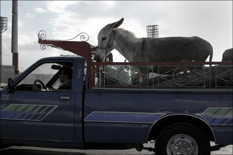 i wanna be a toyota jockey  ...