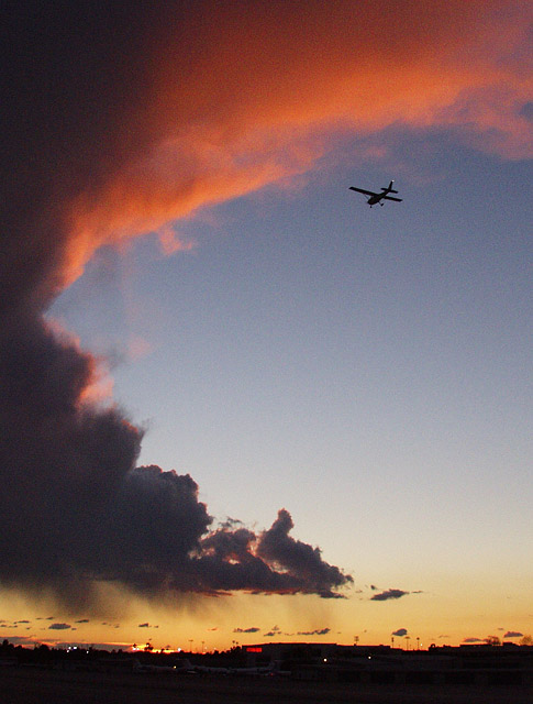 The Flight Home