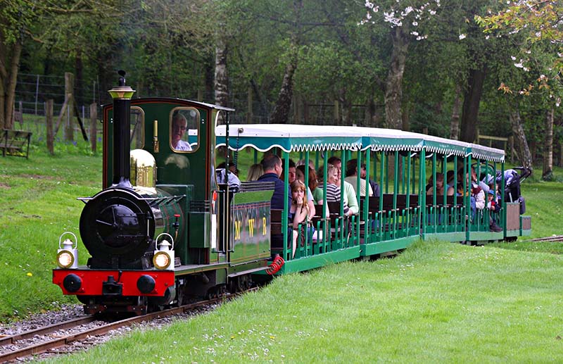 Zoo Transportation