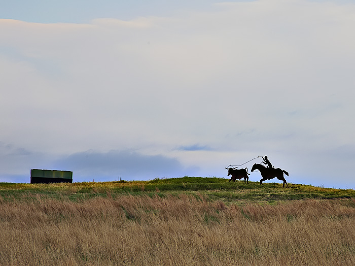 8th Place<br>Cowboy Transportation<br>by Troy