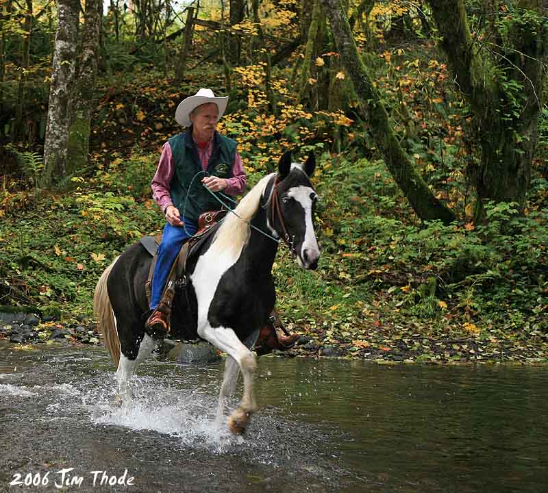Natures ATV