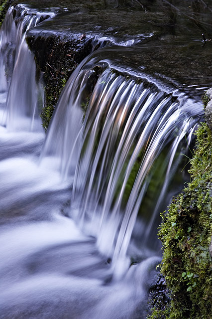 Fern Spring, Yosemite