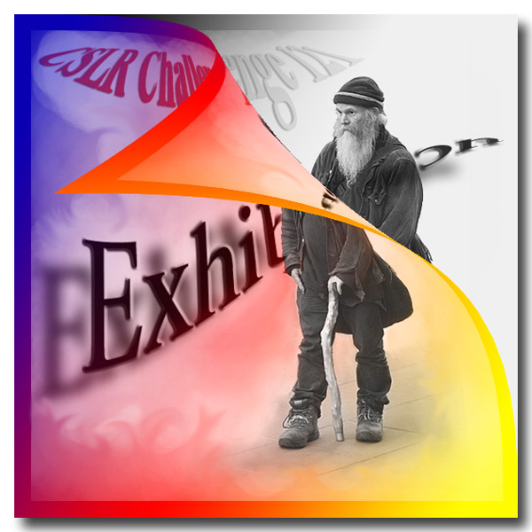 Exhibition 121