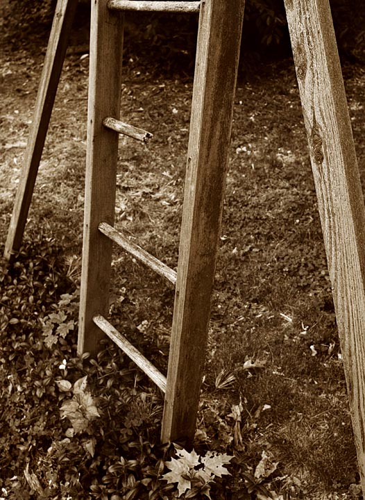 Worn Wood
