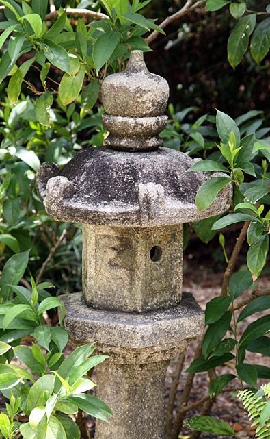 Cricket Lantern
