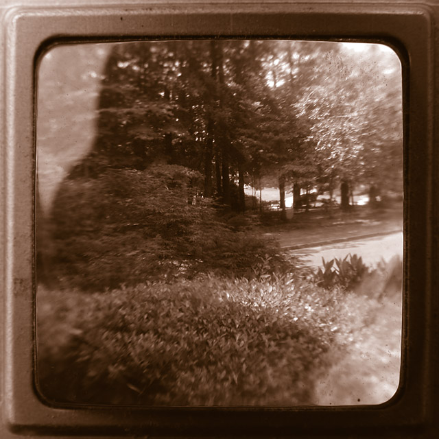 Duraflex View