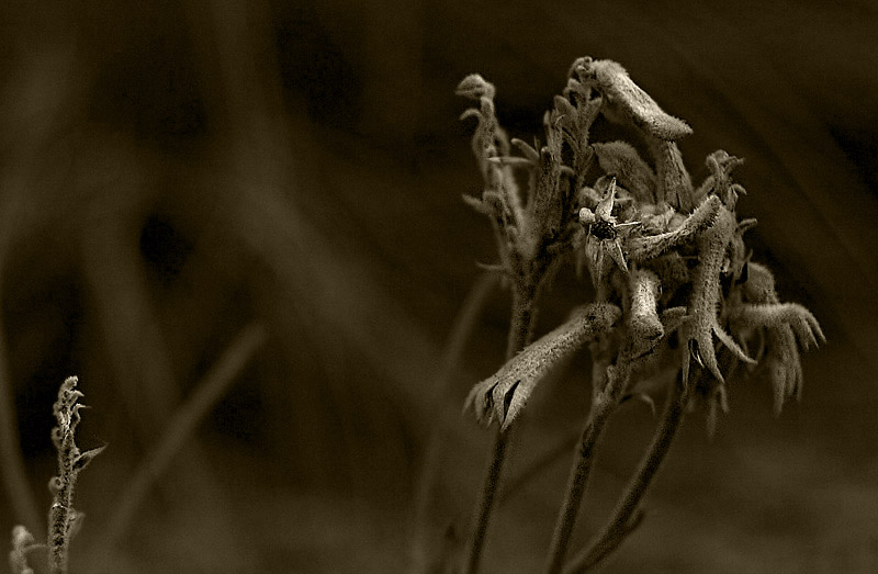 ...Farewell ..! 