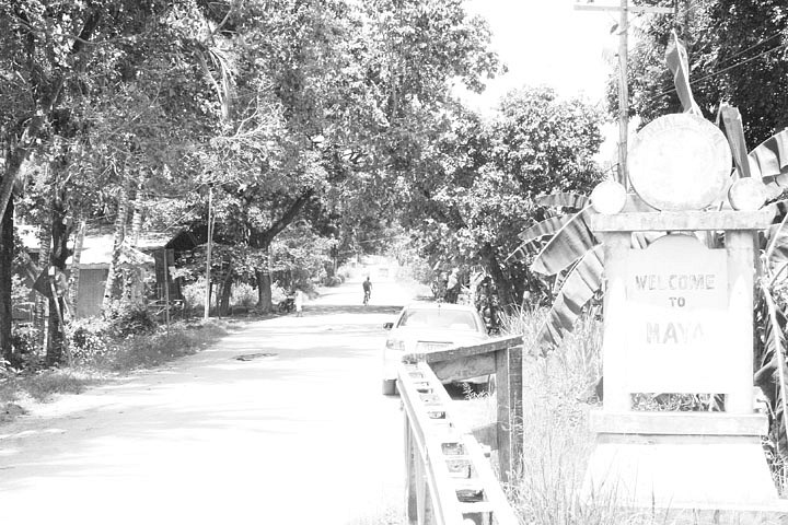 Welcome to Maya