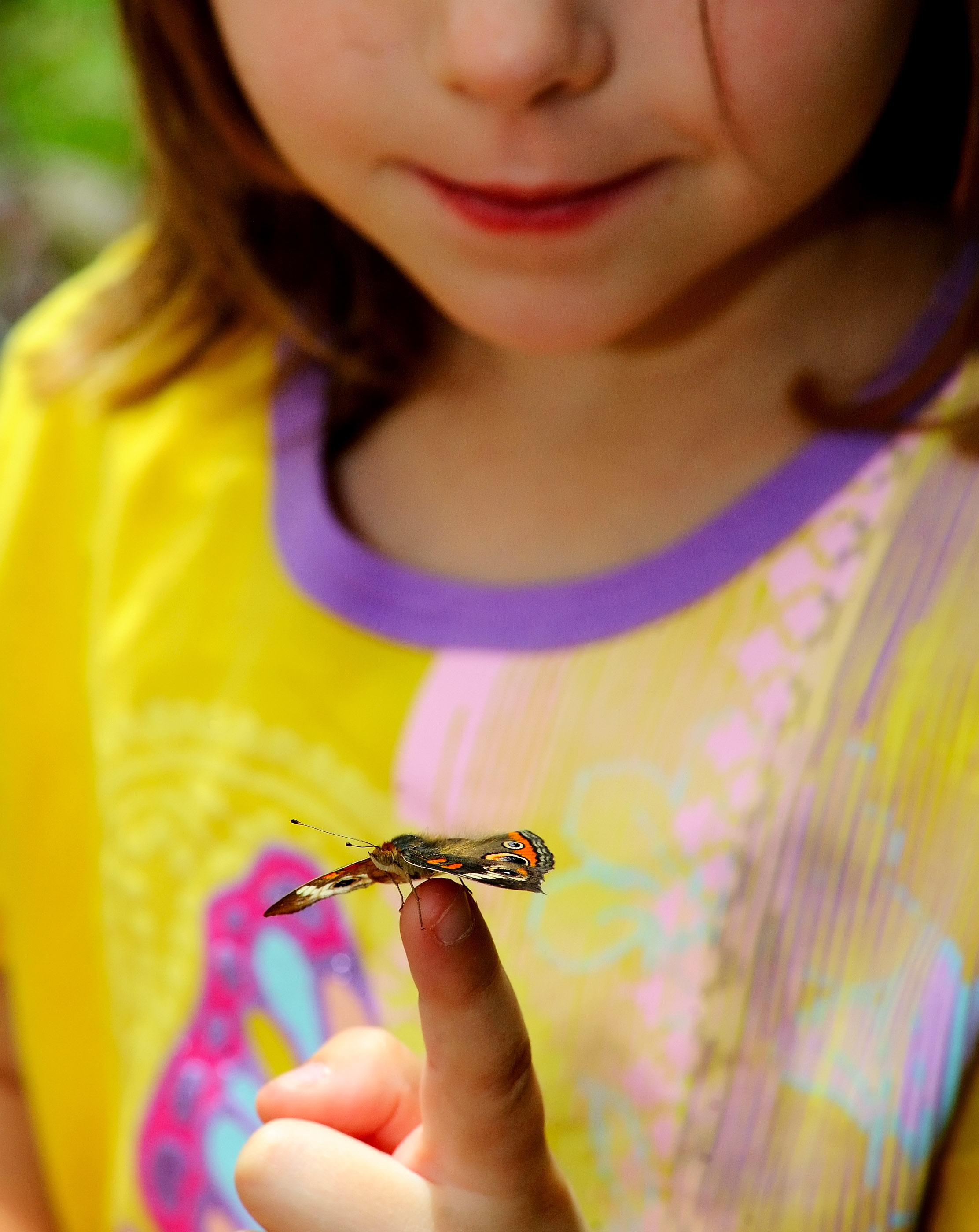 D3B_7306CinciButterfly1.jpg