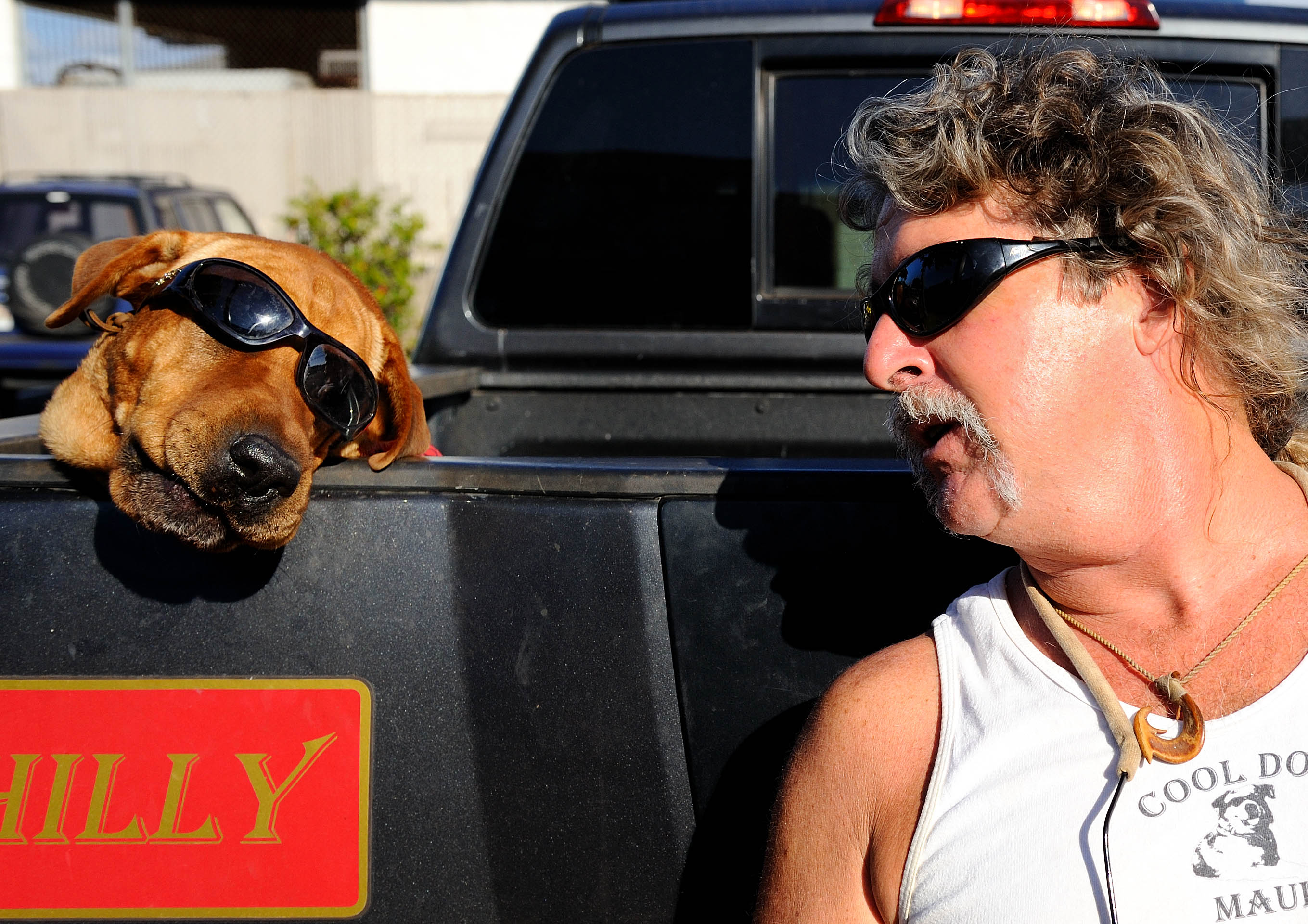 D3C_8898MauiCoolDog1.jpg