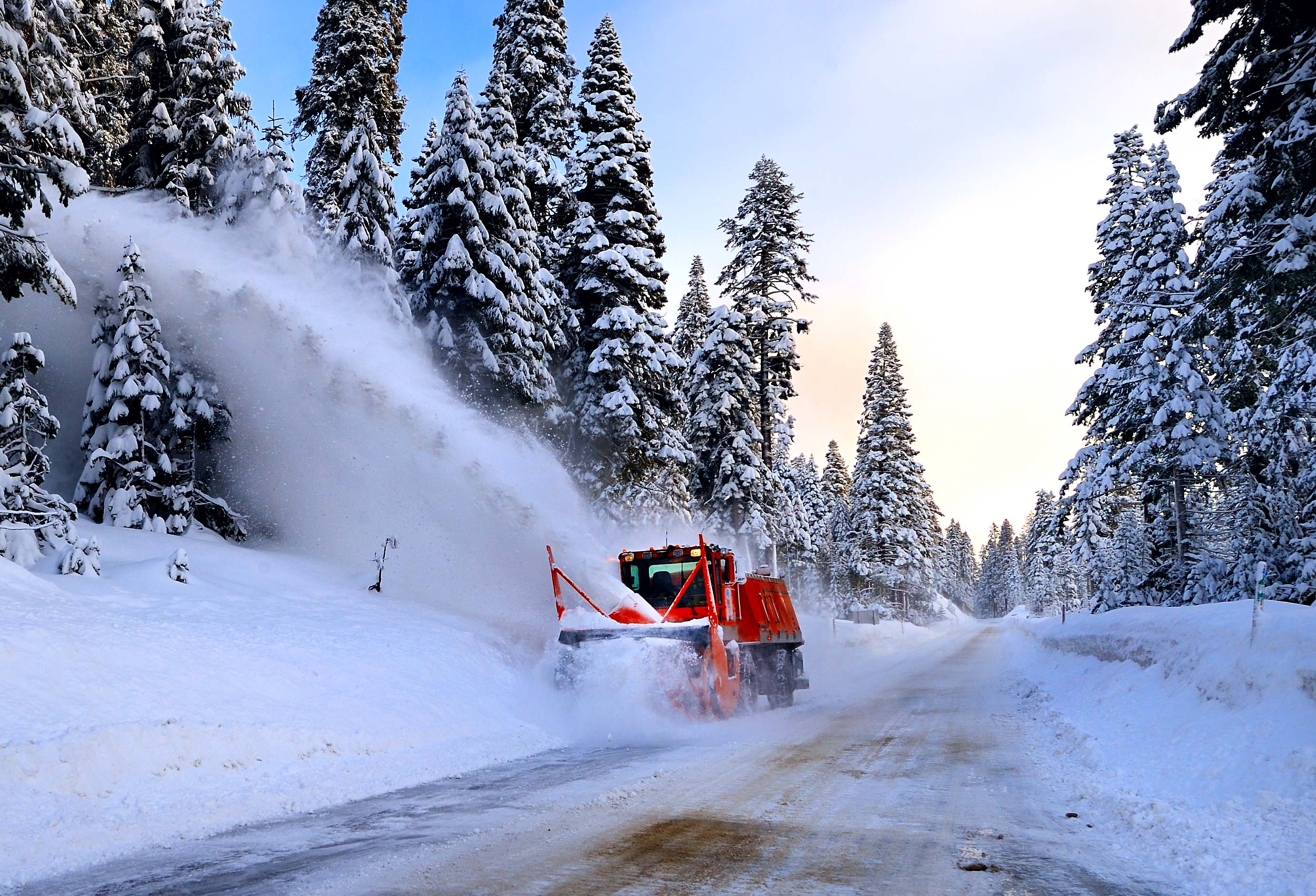 D3D_0659SnowBlower1.jpg