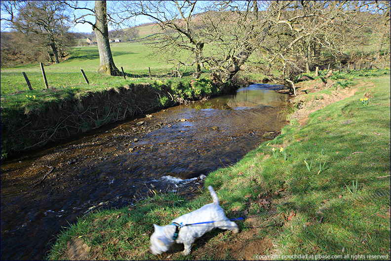 5th April 2009