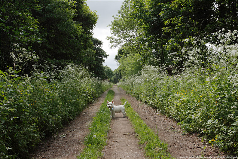 3rd June 2009
