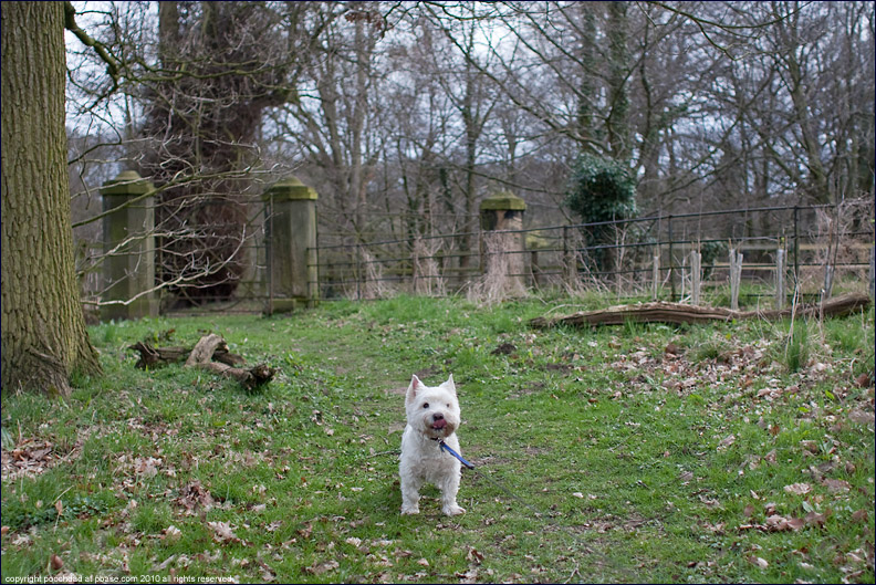 11th April 2010