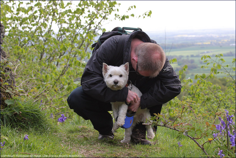 16th May 2010