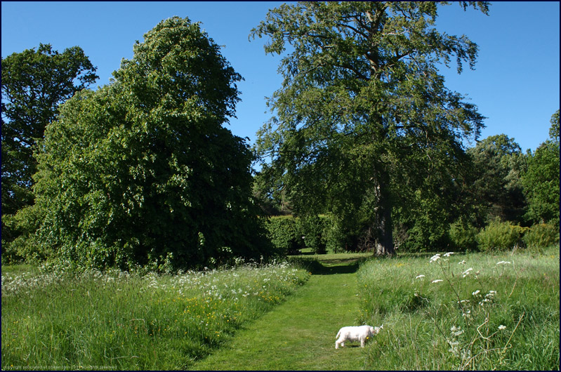 22nd May 2011