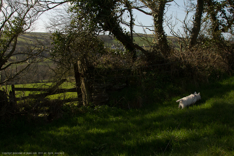 8th March 2012