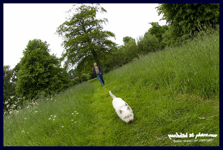 29052008 following the trail