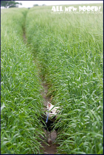 3rd June 2008