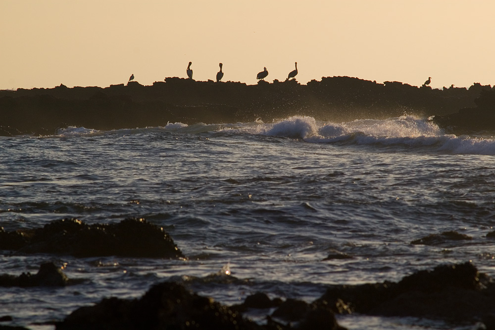 Waiting For The Sunset<br>November 13, 2005