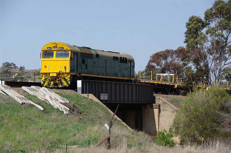 Junee