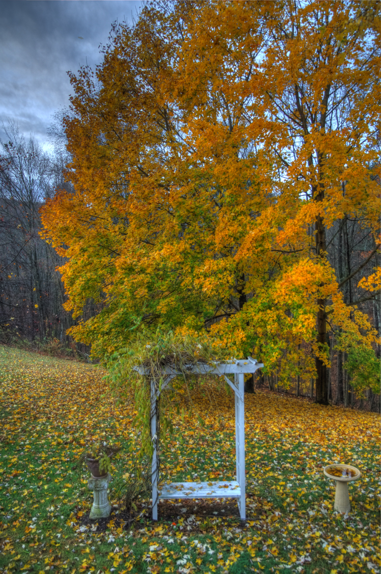 fallhdr001.jpg