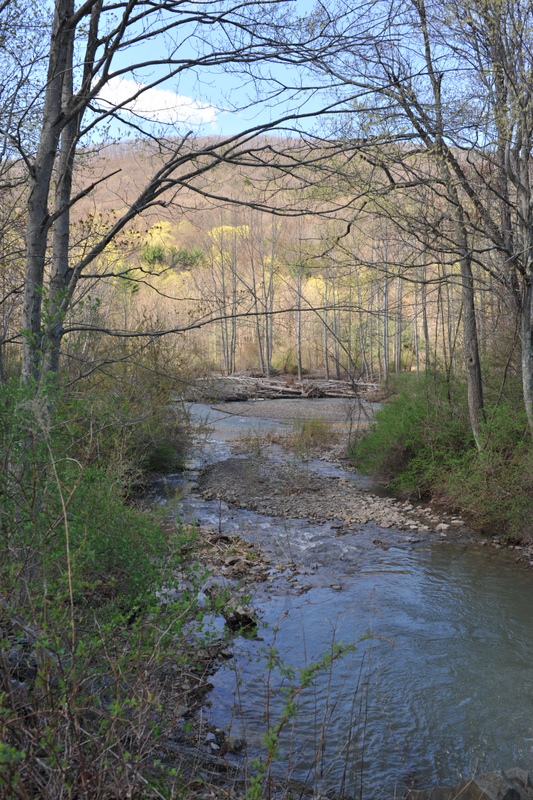 MW4_0560.JPG