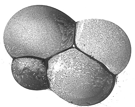 new bubble 3.jpg
