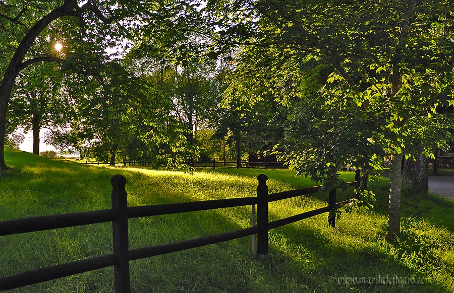 old uppsala, uppland, sweden